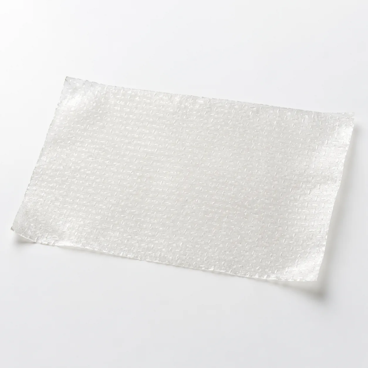 EvoPatch dual-layer amnion membrane sheet, 4 x 8 in.