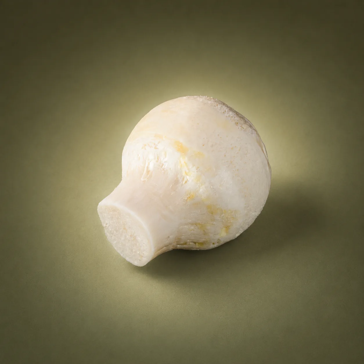 Human femoral head bone allograft
