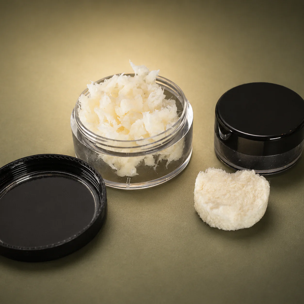 EvoGraft OsteoBlend supplied in jars with a formed graft sample