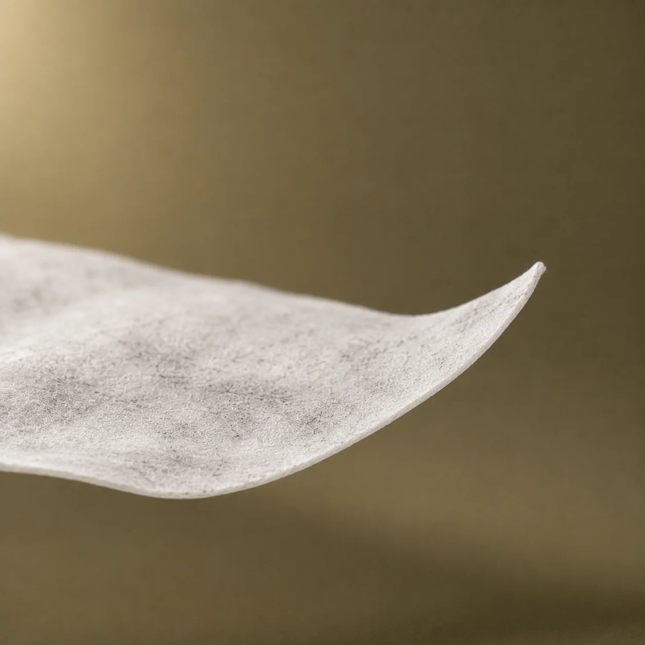 Close-up view of an EvoGraft human pericardium soft-tissue allograft sheet